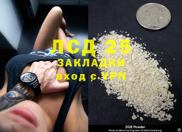ПСИЛОЦИБИНОВЫЕ ГРИБЫ Баксан