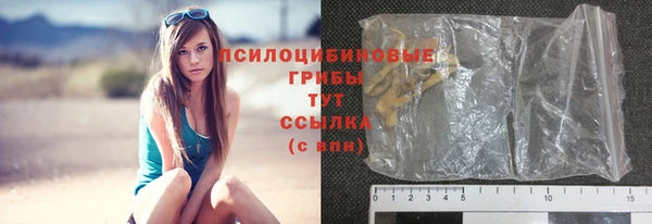 ПСИЛОЦИБИНОВЫЕ ГРИБЫ Баксан