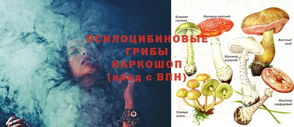 ПСИЛОЦИБИНОВЫЕ ГРИБЫ Баксан