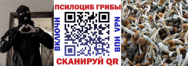 как найти Видное гидра вход Псилоцибиновые грибы мицелий